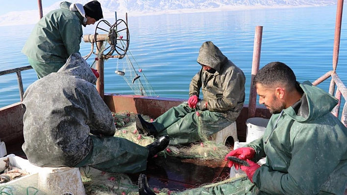 Erçek Gölü'ndeki balık popülasyonu balıkçıları sevindirdi