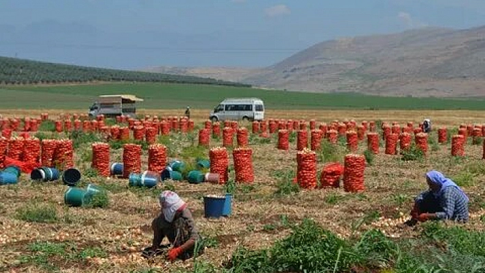 Müjde kuyruk oluşturdu