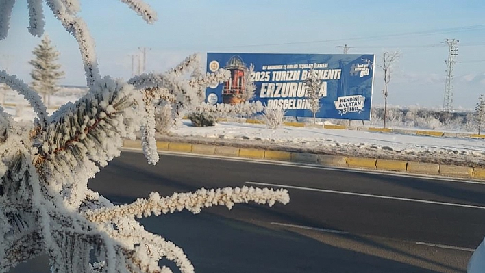 Erzurum Ovası Buz Kesti