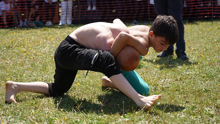 Erzurum Ovası'nda güreş festivali