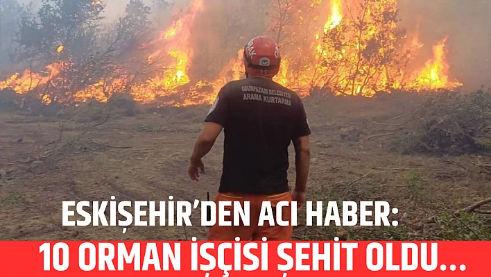 Eskişehir'den acı haber: 10 orman işçisi şehit oldu…