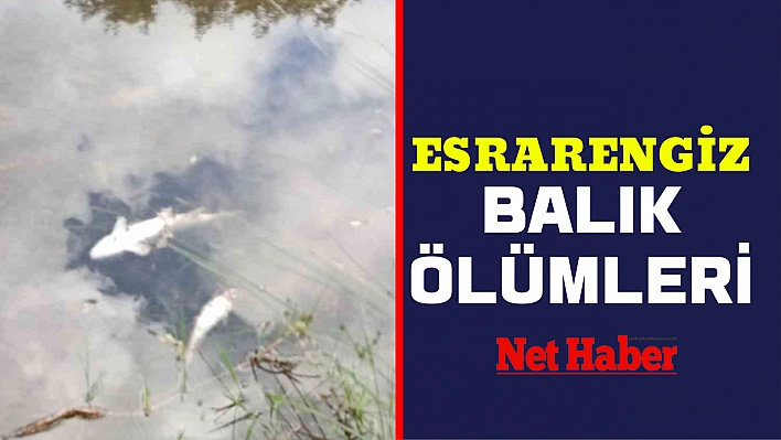 Esrarengiz balık ölümleri