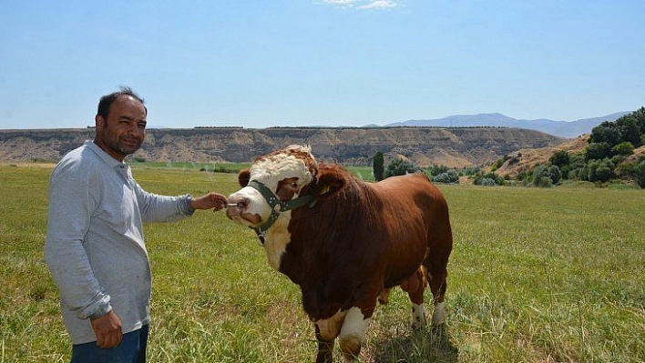 Et üretimine katkı sağlanacak