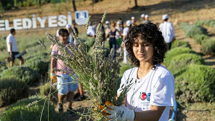 Bodrum'da Lavanta şenliği