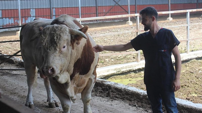 Fiyatı dudak uçuklatıyor