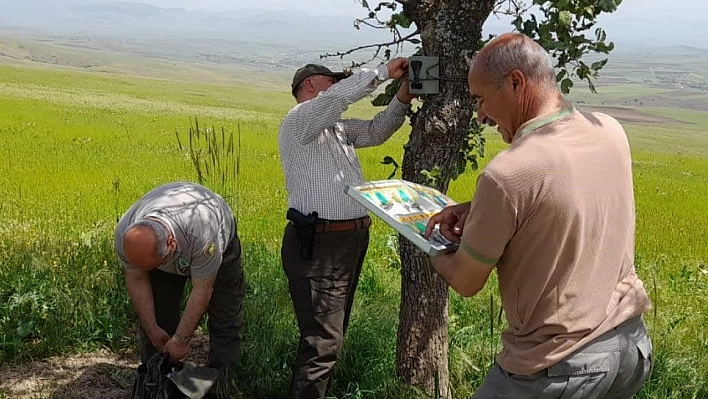 Fotokapanların bakımı yapıldı