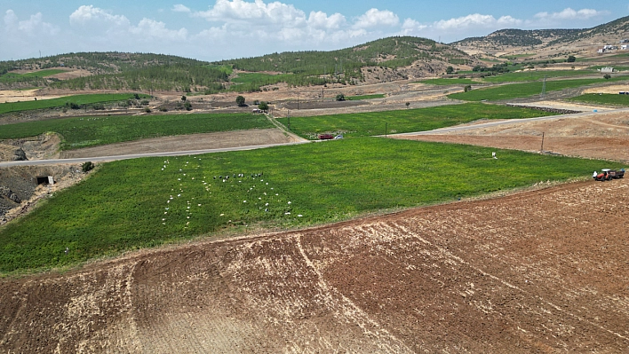 Yılın En Acı Hasadı Başladı..! Diyarbakır, Şanlıurfa, Malatya, Elazığ'ın İhtiyaçlarını Karşılıyor...