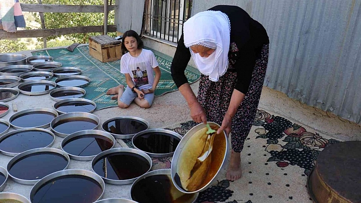 Aile ekonomisine katkı