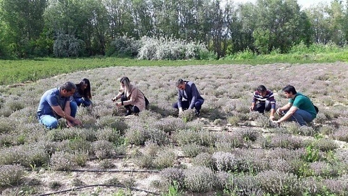 Malatya'da doğal yağlar üretiliyor