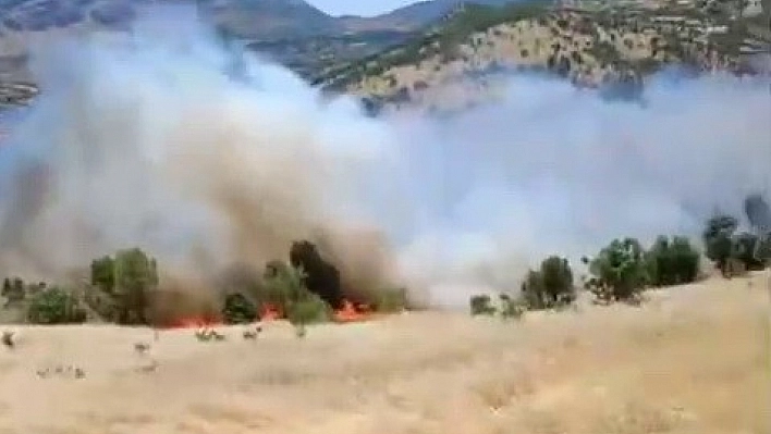 Gerger'de korkutan orman yangını