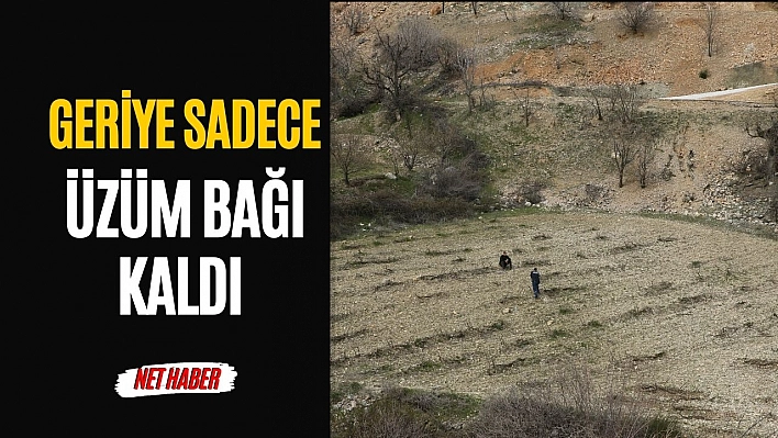 Geriye sadece üzüm bağı kaldı