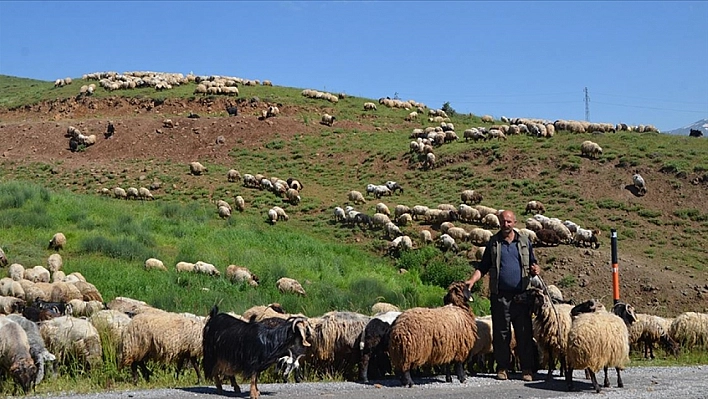 Göçerlerin mesaisi başladı