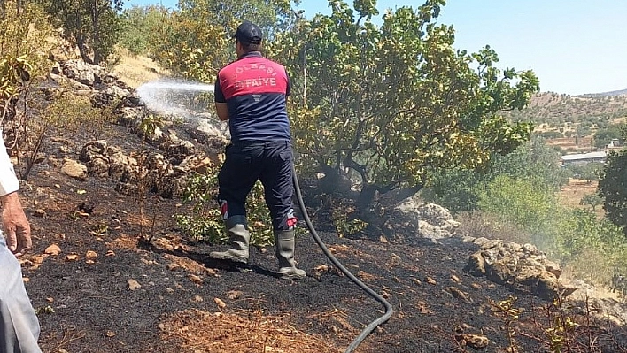 Gölbaşı'nda ormanlık alan yandı