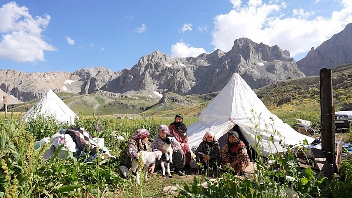 Görenleri hayran bırakıyor