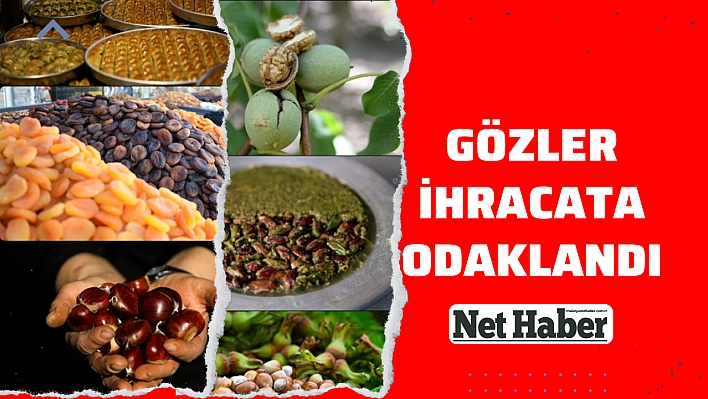 Gözler ihracata odaklandı