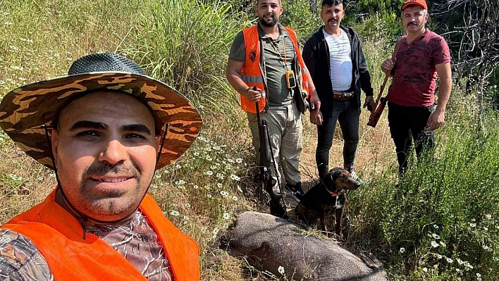 Gündoğmuş'ta domuz sürek avı düzenlendi