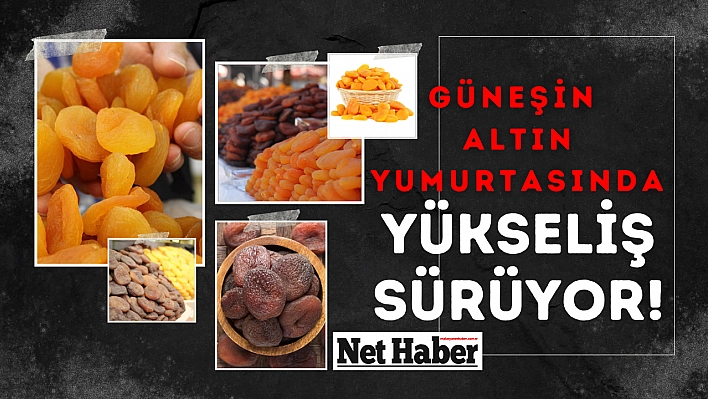 Güneşin altın yumurtasında yükseliş sürüyor!