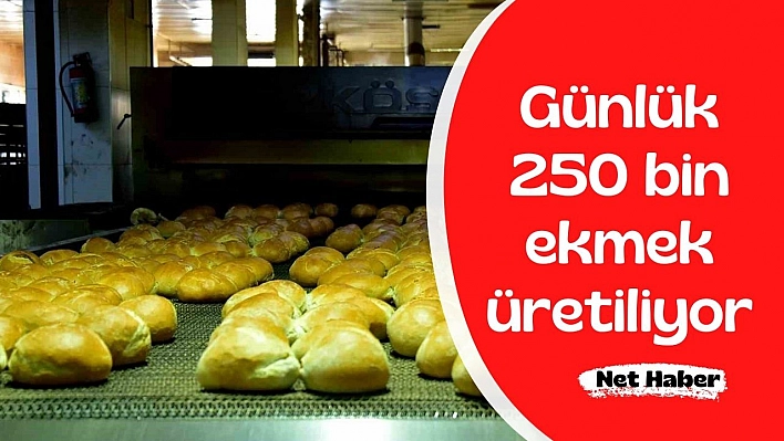 Günlük 250 bin ekmek üretiliyor