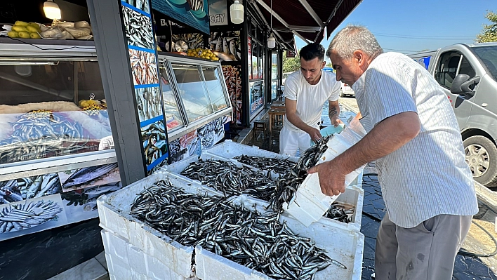 Hamsi fiyatı 20 liraya kadar düştü