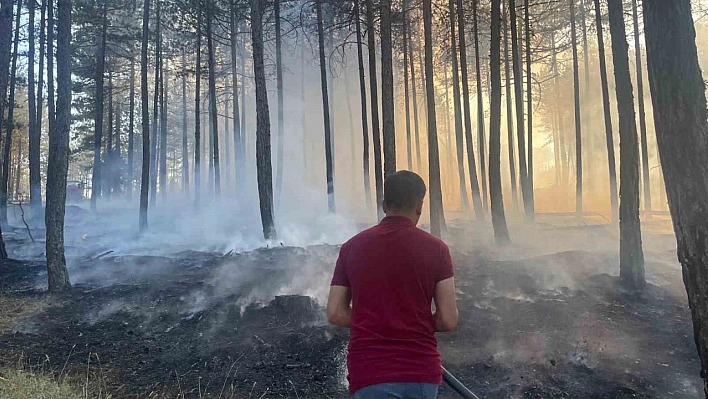 Hanönü'de çıkan orman yangını söndürüldü