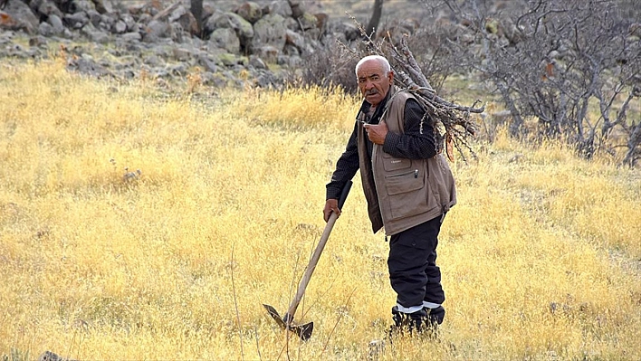 Hasan Dağı eteklerinde tek başına yaşıyor