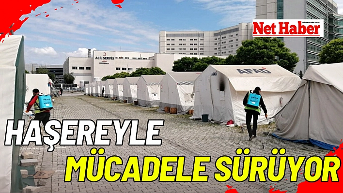 Haşereyle mücadele sürüyor