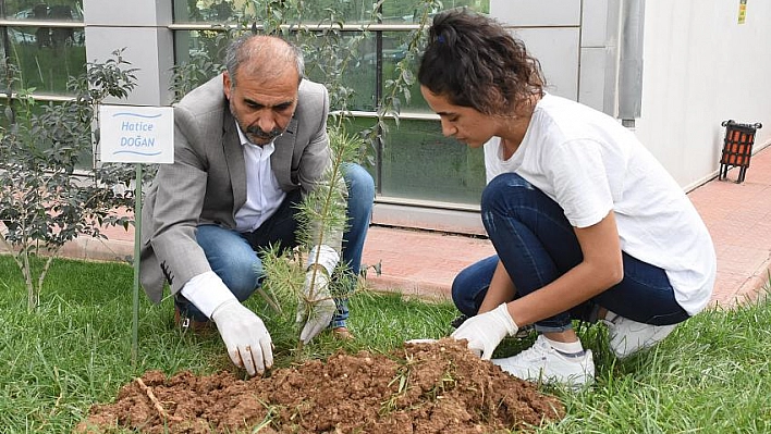 Hastalar adına fidan 