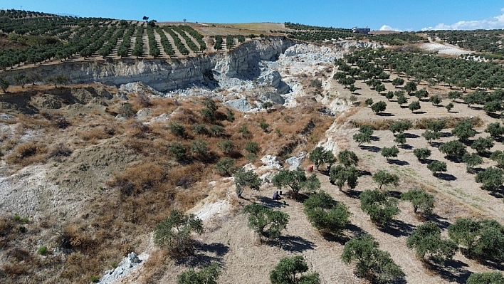 Hatay'da Deprem Yarığıyla İkiye Ayrılan Bahçede Korku İçinde Zeytin Hasadı