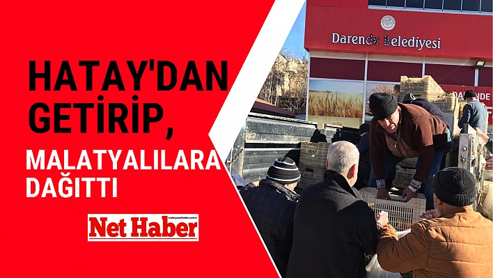 Hatay'dan getirip, Malatyalılara dağıttı