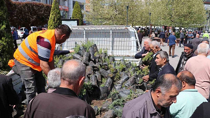 Vatandaşlara bin 500 fidan dağıtıldı