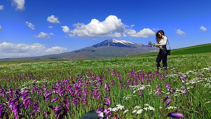 Hayranlık uyadırıyor