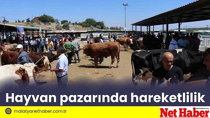 Hayvan pazarında hareketlilik