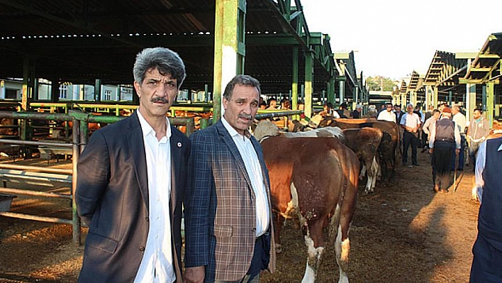 Hayvan sayımız yeterli