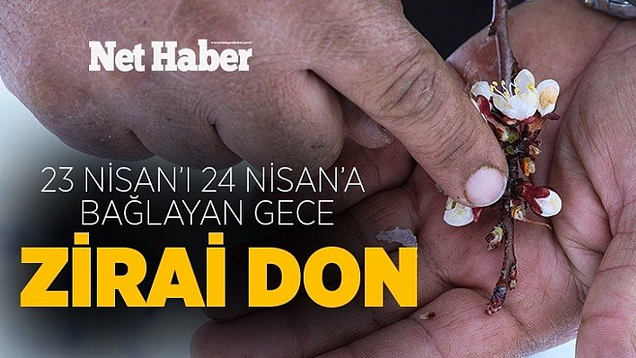 23 Nisan'ı 24 Nisan'a Bağlayan Gece Don Vurdu