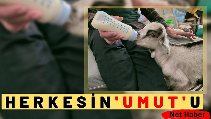 Herkesin 'UMUT'u 