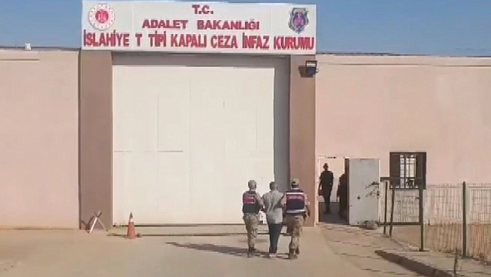 Hırsızlık şüphelilerine operasyon