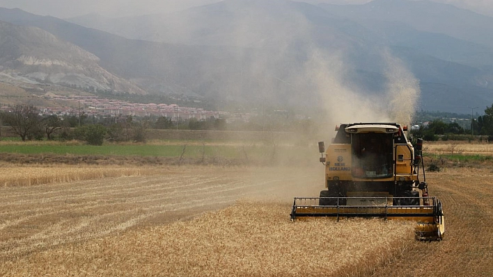 Hububat tarlalarında hasat başladı