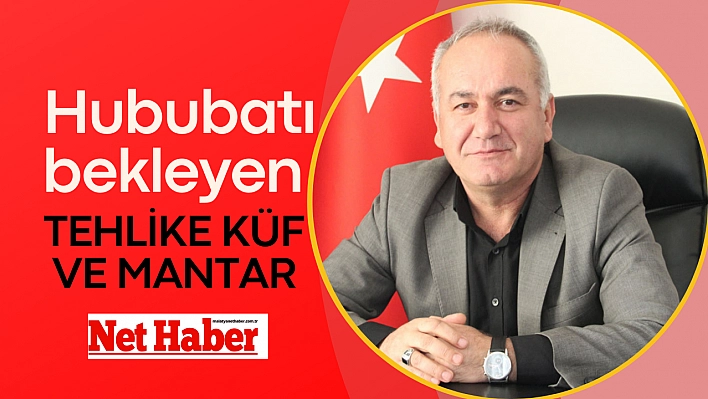 Hububatı bekleyen tehlike küf ve mantar