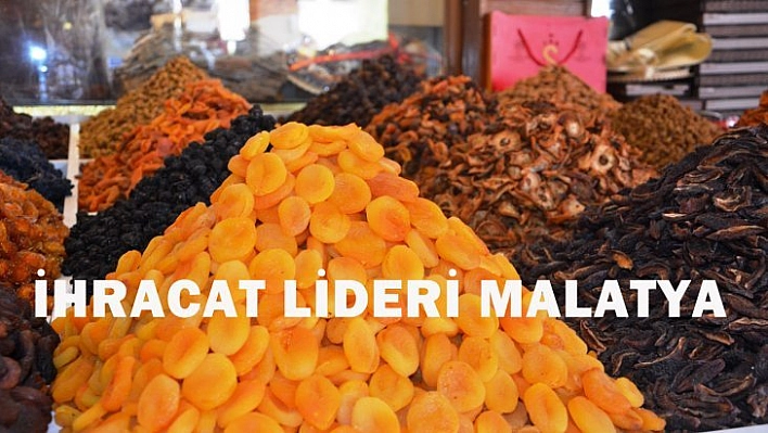 İhracat lideri Malatya