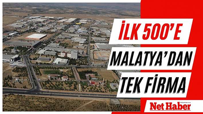 İlk 500'e Malatya'dan tek firma