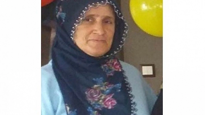 İnek sağarken elektrik çarptı