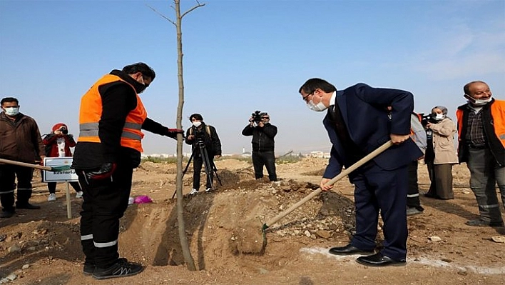 Yeni açılan bulvar ağaçlandırılıyor