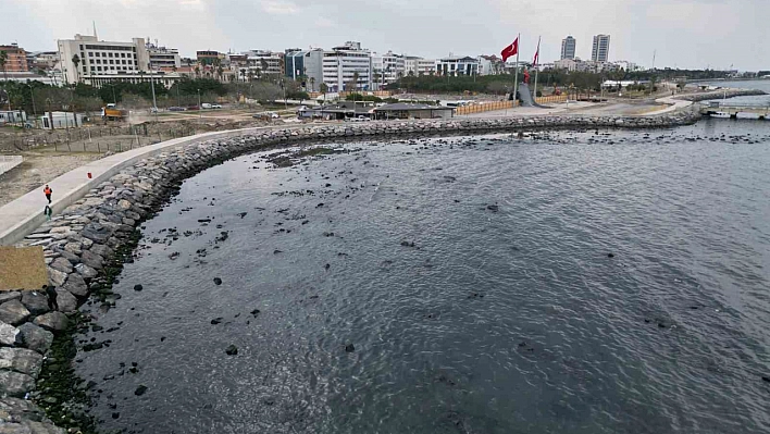 İskenderun Körfezi'nde denizde çekilme yaşandı