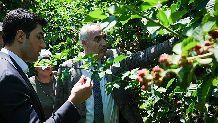 İstanbul'dan Göç Etti, Malatya'da Zenginleşti: Siparişlere Yetişemiyorlar!