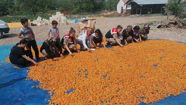 KADES tanıtıldı