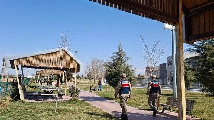 Korona denetimi