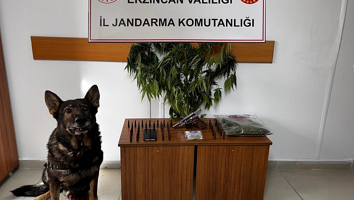 Jandarma olaylara geçit vermiyor