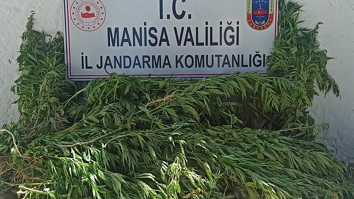 Jandarmadan opreasyon