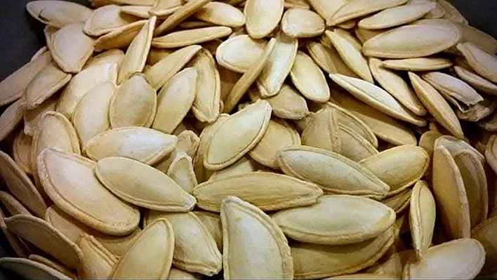 Kabak çekirdeği ekim sezonu başladı