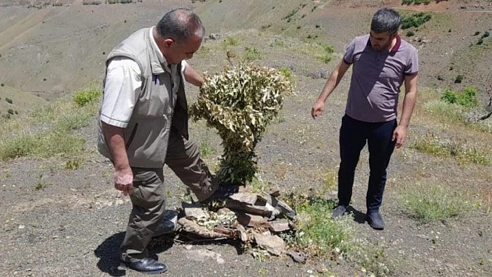 Kaçak avlanmaya denetim